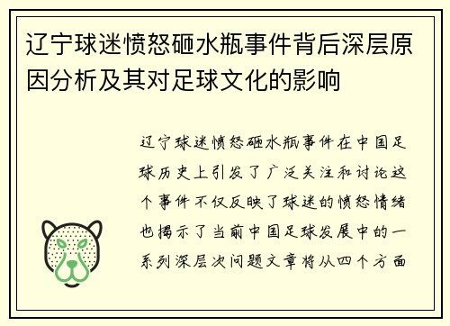 辽宁球迷愤怒砸水瓶事件背后深层原因分析及其对足球文化的影响 辽宁球迷愤怒砸水瓶事件背后深层原因分析及其对足球文化的影响